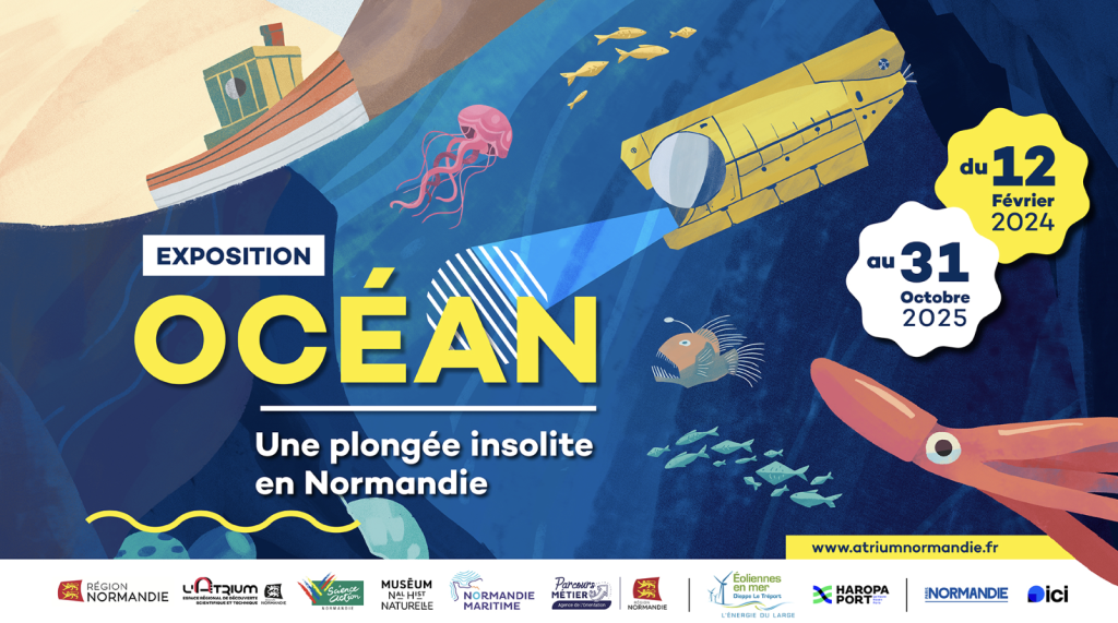 Une offre éducative inédite pour les élèves : entre Rouen et Le Havre, l&rsquo;océan et les Ports maritimes se dévoilent