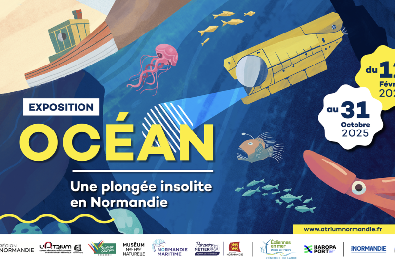 Une offre éducative inédite pour les élèves : entre Rouen et Le Havre, l&rsquo;océan et les Ports maritimes se dévoilent