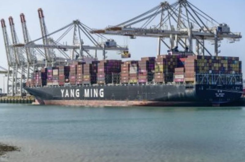 L&rsquo;alliance premier marque le retour de Yang Ming au Havre