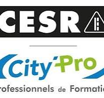 CACES 486 – CATEGORIE A – Expert ou Recyclage
